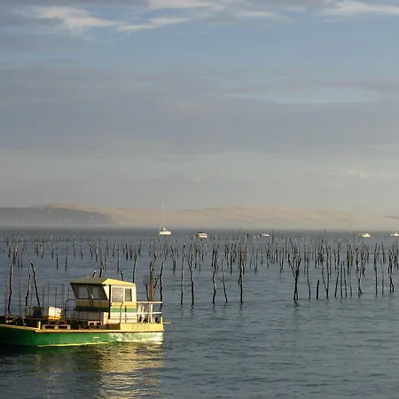 Maison Lumineuse Avec Jardin - Proche D'eyrac Et Commerces - Fr-1-420-133 * Arcachon