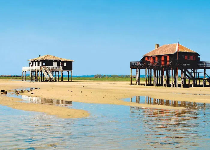 Holiday home Maison Lumineuse Avec Jardin - Proche D'eyrac Et Commerces - Fr-1-420-133 Arcachon