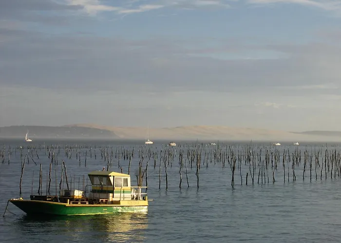 Maison Lumineuse Avec Jardin - Proche D'eyrac Et Commerces - Fr-1-420-133 * Arcachon